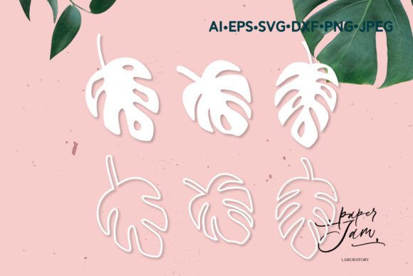 Download Monstera Leaves SVG Tropical Svg - Tropical svg Collection